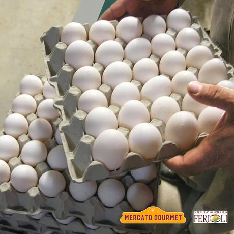 Eggs @Mercato Gourmet | Your Italian Gourmet Supermarket