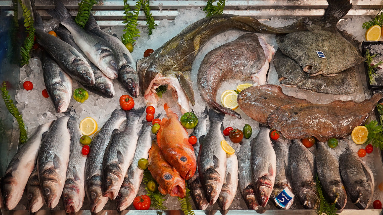 Seafood&nbsp;@Mercato Gourmet | Your Italian Gourmet Supermarket