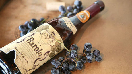 Barolo wine