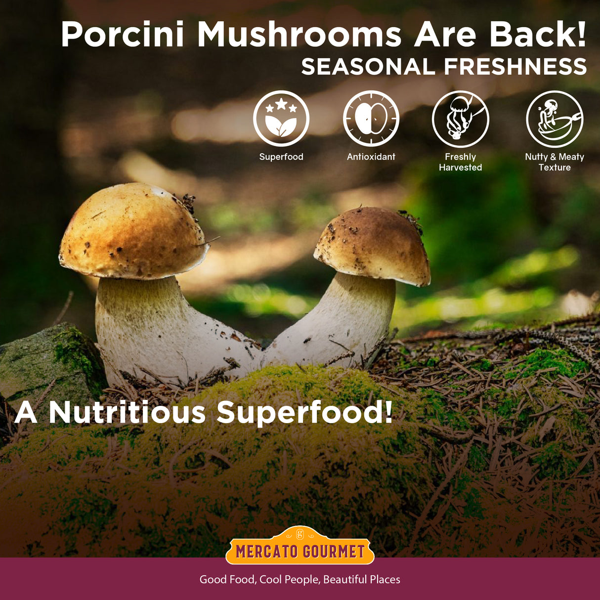 MUSHROOM PORCINI 200g Mercato Gourmet - Truffle & Mushrooms @Mercato Gourmet | Your Italian Gourmet Supermarket