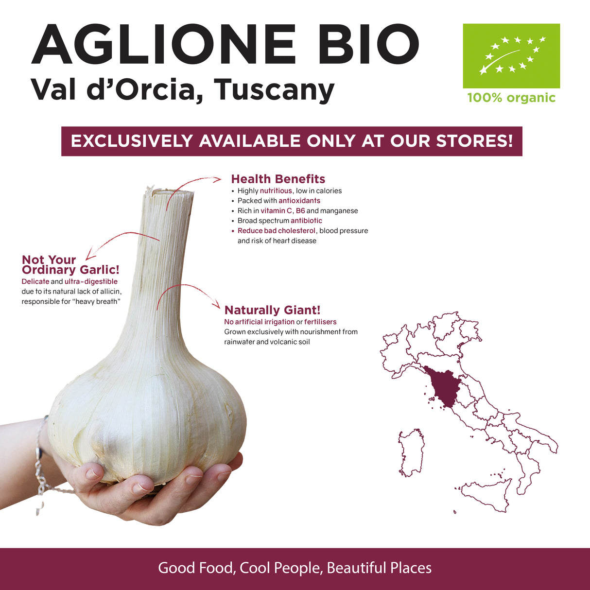 GIANT GARLIC VAL DI CHIANA "AGLIONE" Mercato Gourmet - Vegetables @Mercato Gourmet | Your Italian Gourmet Supermarket