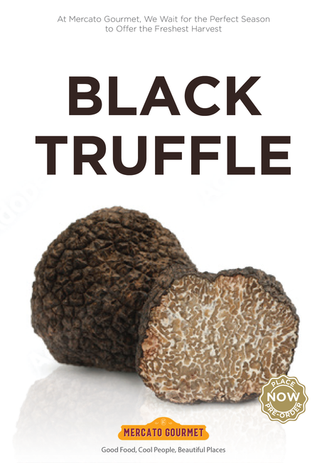 Fresh Black Truffle Mercato Gourmet - Truffle & Mushrooms @Mercato Gourmet | Your Italian Gourmet Supermarket