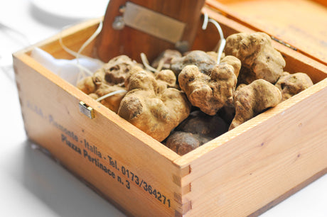 Italian Fresh White Truffle Mercato Gourmet - Whole Truffle @Mercato Gourmet | Your Italian Gourmet Supermarket