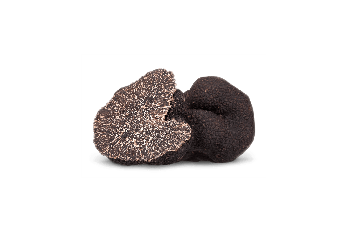 Fresh Black Truffle Mercato Gourmet - Truffle & Mushrooms @Mercato Gourmet | Your Italian Gourmet Supermarket