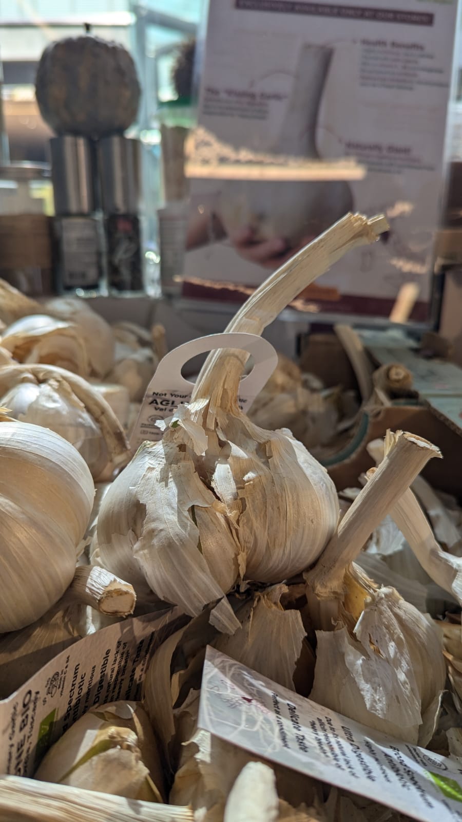 GIANT GARLIC VAL DI CHIANA "AGLIONE" Mercato Gourmet - Vegetables @Mercato Gourmet | Your Italian Gourmet Supermarket