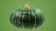 Pumpkin Lorenzini Mercato Gourmet - Vegetables @Mercato Gourmet | Your Italian Gourmet Supermarket