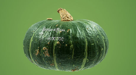 Pumpkin Lorenzini Mercato Gourmet - Vegetables @Mercato Gourmet | Your Italian Gourmet Supermarket