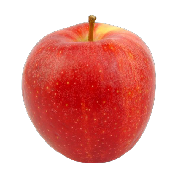 Italian Red Apple Royal Gala 2 Pieces Mercato Gourmet - Apple 500g (±10%) 2pcs @Mercato Gourmet | Your Italian Gourmet Supermarket