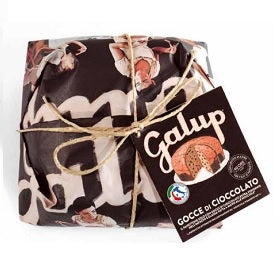 Traditional Panettone with Chocolate drops 750g - Galup Galup - Panettone @Mercato Gourmet | Your Italian Gourmet Supermarket