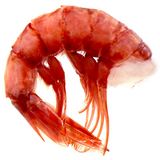 Red Prawn Rosso di Mazara Size XXL - Frozen Rosso di Mazara - Shellfish & Others @Mercato Gourmet | Your Italian Gourmet Supermarket