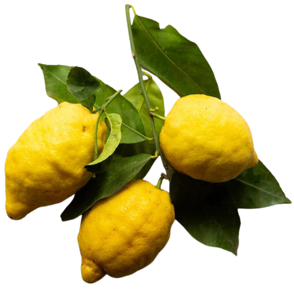 Lemon Amalfi 1 Piece Mercato Gourmet - Fruits 200-250g 1 pc @Mercato Gourmet | Your Italian Gourmet Supermarket