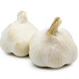 Garlic White 2-3 Pieces Mercato Gourmet - Vegetables 200-250g 2-3 pcs @Mercato Gourmet | Your Italian Gourmet Supermarket