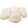 Hokkaido Scallop (Frozen) Mercato Gourmet - Shellfish & Others @Mercato Gourmet | Your Italian Gourmet Supermarket