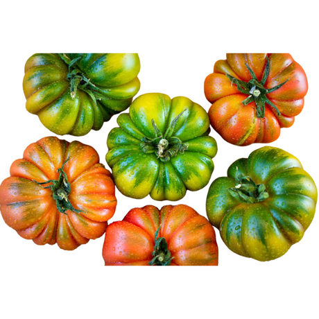 Tomato Marinda 400g (±10%) Mercato Gourmet - Vegetables & Mushrooms @Mercato Gourmet | Your Italian Gourmet Supermarket