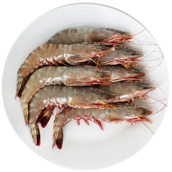 Organic Frozen ASC Black Tiger Prawn Mercato Gourmet - Shellfish & Others 500g (±10%) pack @Mercato Gourmet | Your Italian Gourmet Supermarket