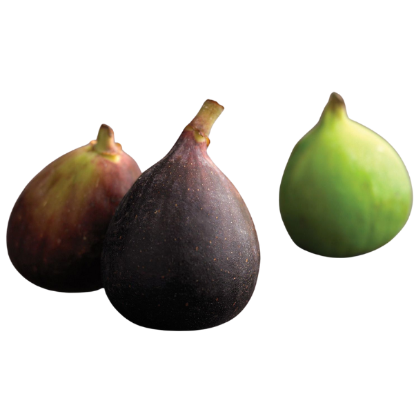 Fresh Italian Figs 2 Pieces Mercato Gourmet - Fruits @Mercato Gourmet | Your Italian Gourmet Supermarket