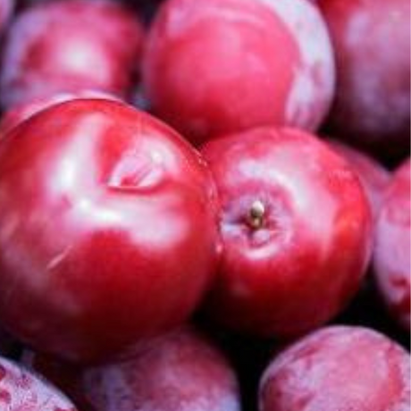 Red Plums 400-500g Mercato Gourmet - Fruits @Mercato Gourmet | Your Italian Gourmet Supermarket