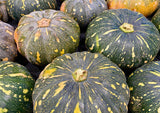 Pumpkin Delica Mercato Gourmet - Vegetables @Mercato Gourmet | Your Italian Gourmet Supermarket