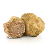 Italian Fresh White Truffle Mercato Gourmet - Whole Truffle @Mercato Gourmet | Your Italian Gourmet Supermarket