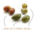 Mixed Olives with Stone in Brine 1062 ml - Sinisi Sinisi - Preserved Vegetables @Mercato Gourmet | Your Italian Gourmet Supermarket