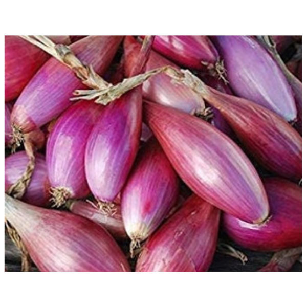 Red Tropea Onions 2 Pieces Mercato Gourmet - Vegetables 300g (±10%) 2pcs @Mercato Gourmet | Your Italian Gourmet Supermarket