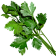 Fresh Parsley 50g(±10%) / bunch Pacific Gourmet - Fresh Herbs 50g(±10%) bunch @Mercato Gourmet | Your Italian Gourmet Supermarket