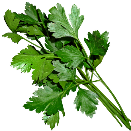 Fresh Parsley 50g(±10%) / bunch Pacific Gourmet - Fresh Herbs 50g(±10%) bunch @Mercato Gourmet | Your Italian Gourmet Supermarket