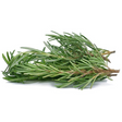 Fresh Rosemary 30g(±10%) / bunch Pacific Gourmet - Fresh Herbs @Mercato Gourmet | Your Italian Gourmet Supermarket