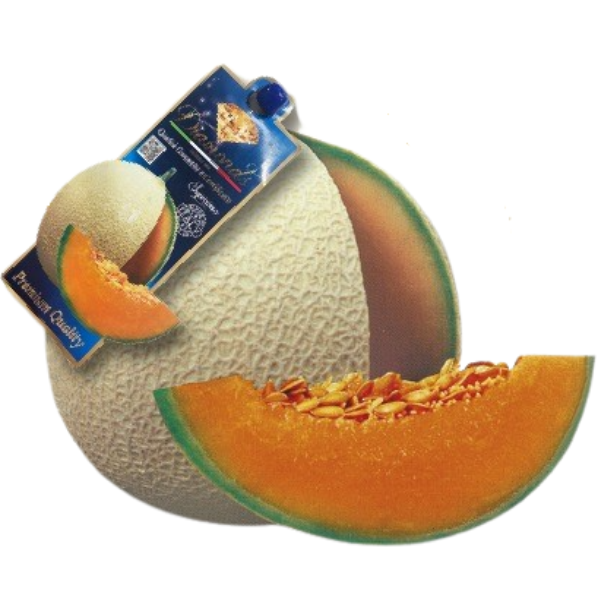 Italian Diamond Melon 1 Piece Mercato Gourmet - Fruits @Mercato Gourmet | Your Italian Gourmet Supermarket